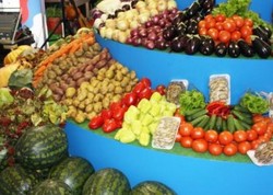 Продовольственная выставка открылась во Владивостоке